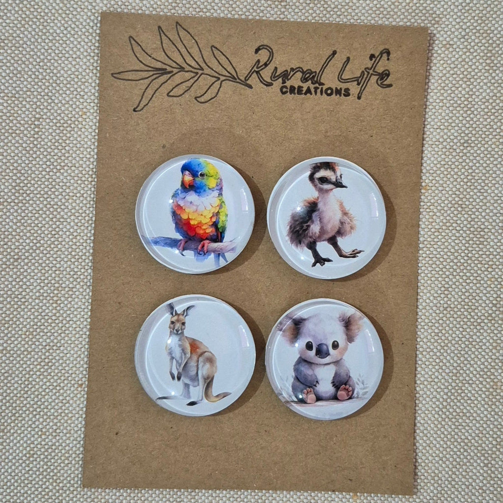 Glass Magnets-4 Variety Pack