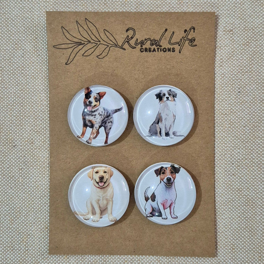 Glass Magnets-4 Variety Pack