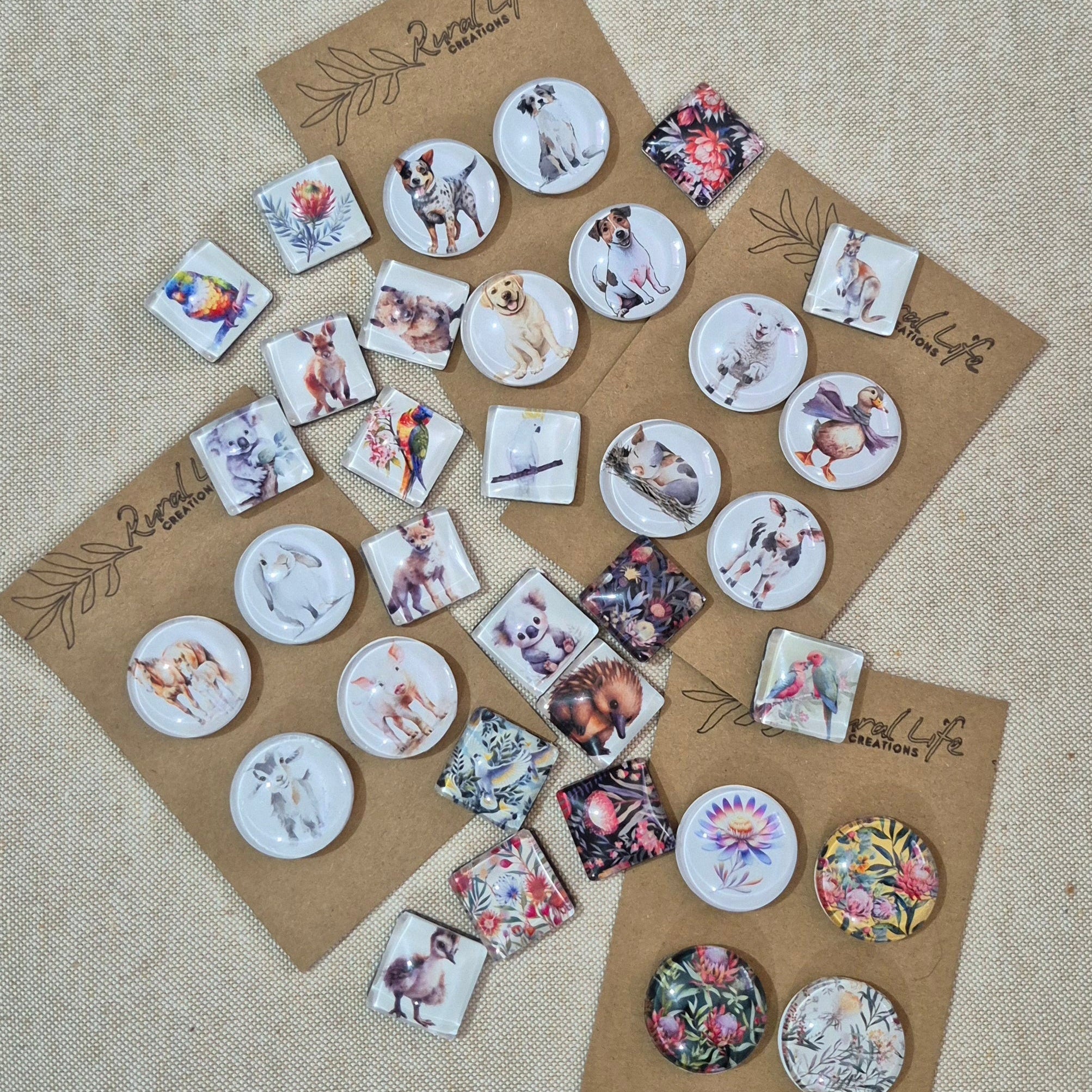 Glass Magnets-4 Variety Pack