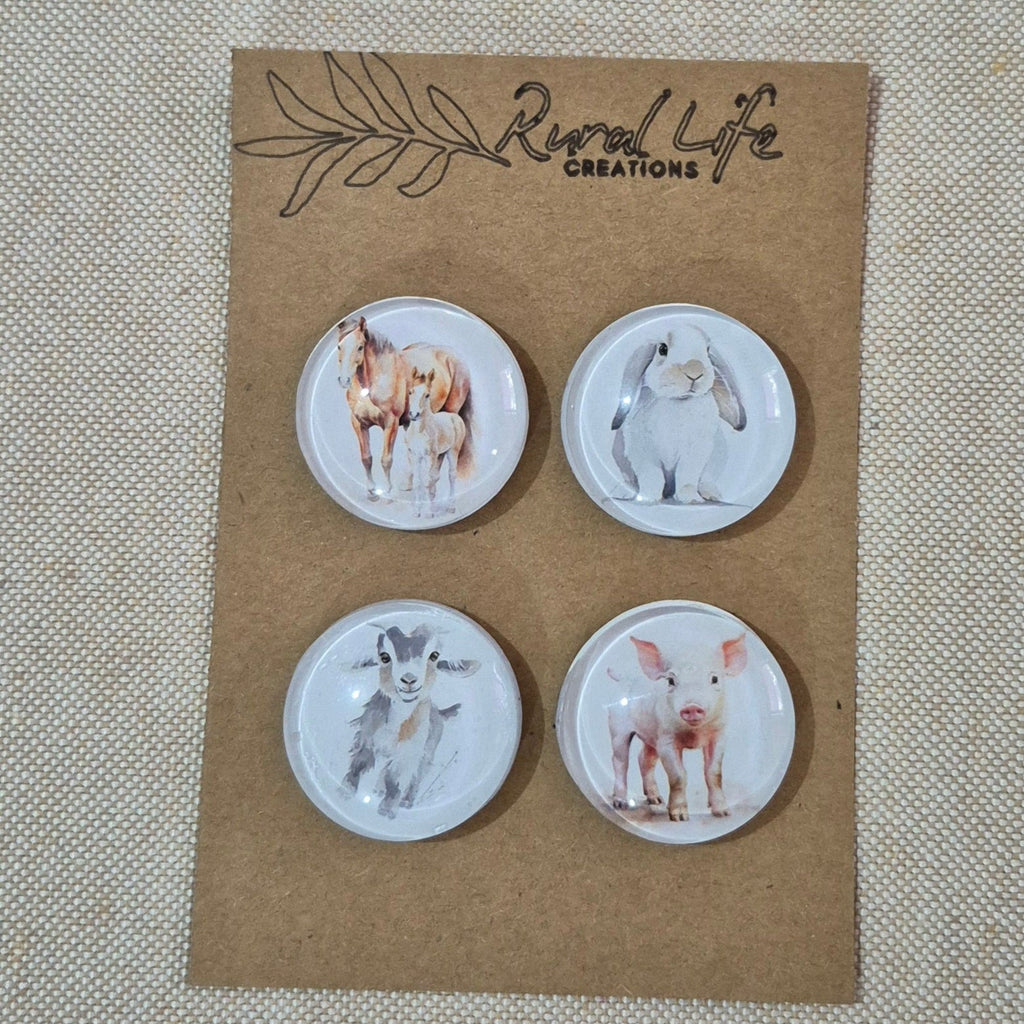 Glass Magnets-4 Variety Pack